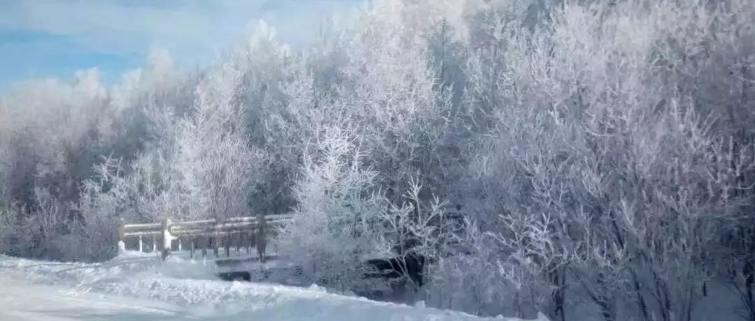 奕行記|奕路向北，駛向雪國(guó)阿爾山